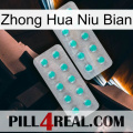 Zhong Hua Niu Bian 29